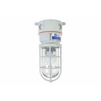 Hazardous Area Strobing LED Light Beacon - 7 Watts - Non-Metallic - Corrosion & Chemical Resistant(-Low Voltage (12&24VDC)-Ceiling-Green)