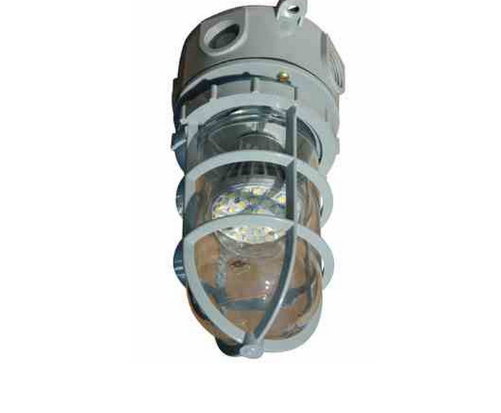 Hazardous Area Strobing LED Light Beacon - 7 Watts - Non-Metallic - Corrosion & Chemical Resistant(-High Voltage (110-277VAC)-Pendant-White)